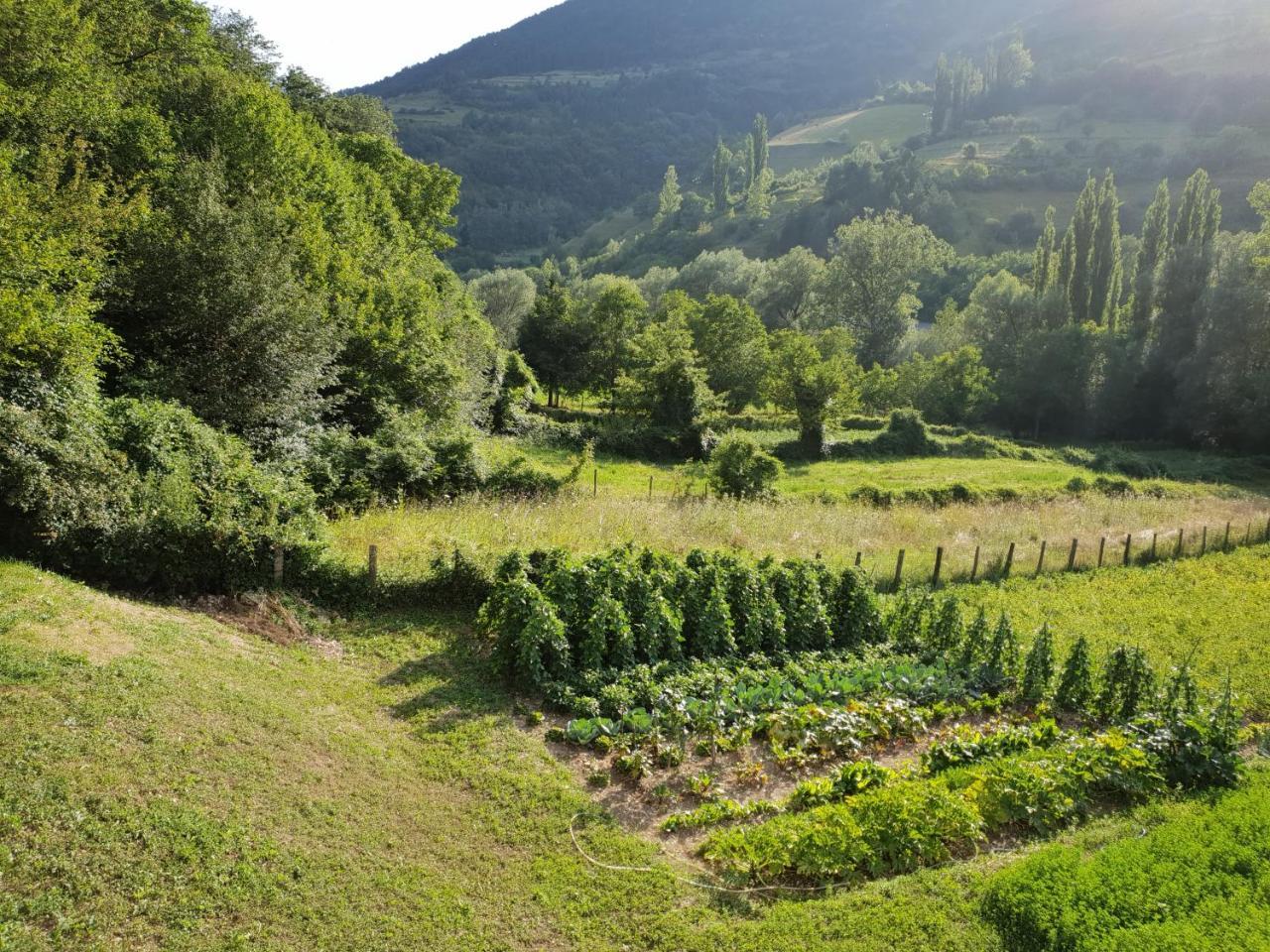 Agriturismo Il Casale Pica Posta Экстерьер фото